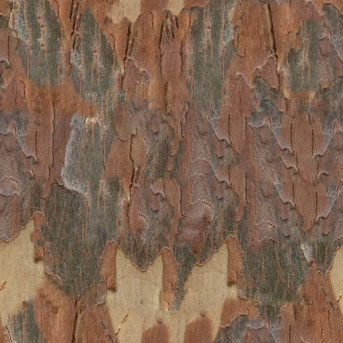 Archmodels 58 Bark Diffuse