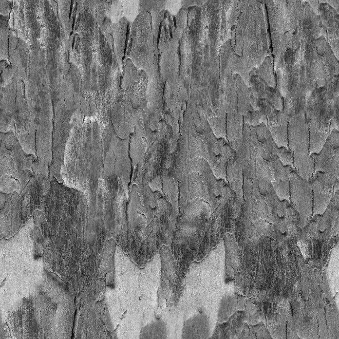 Bark bump texture