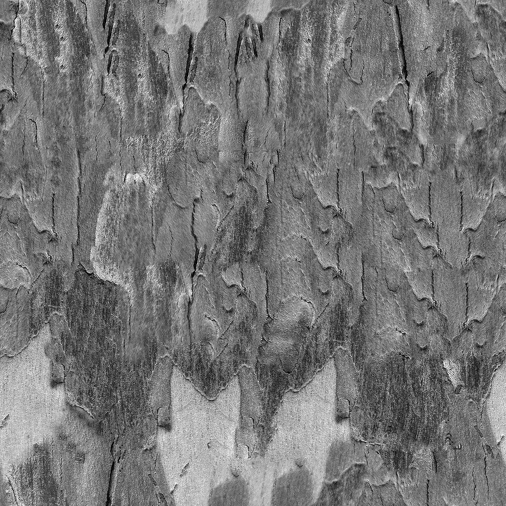 Bark bump texture