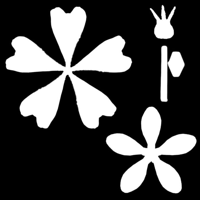 Cherry Blossom Mask Vector