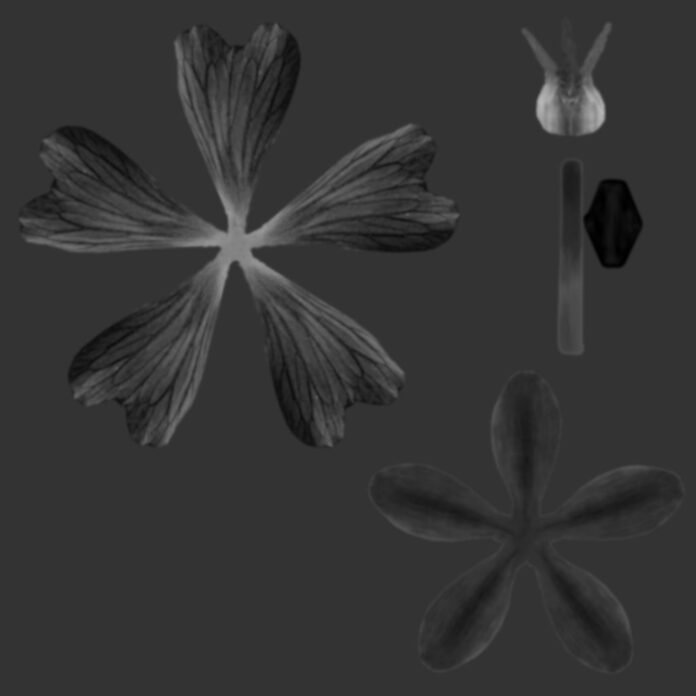 Flower bump map texture