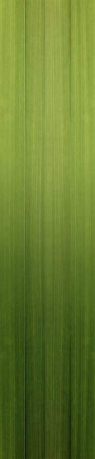 Green gradient background vector