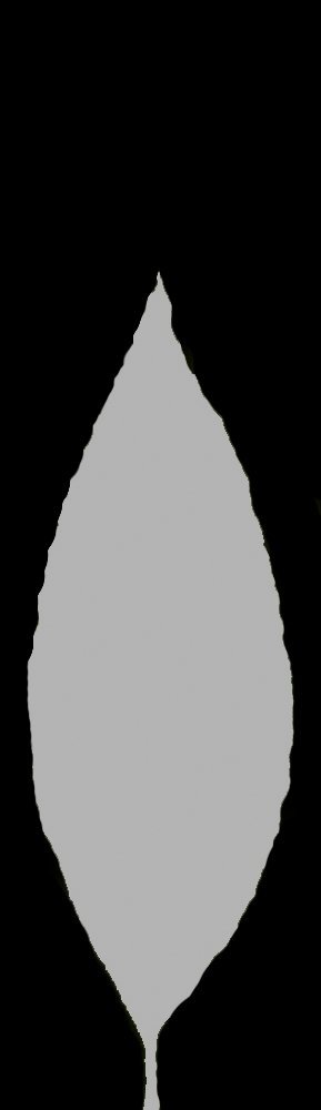 Gum tree opacity rgb 70