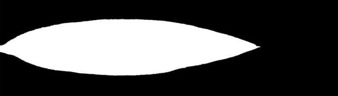 Leaf opacity texture