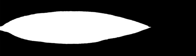 Leaf opacity texture