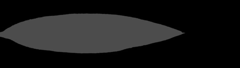 Leaf Opacity Texture