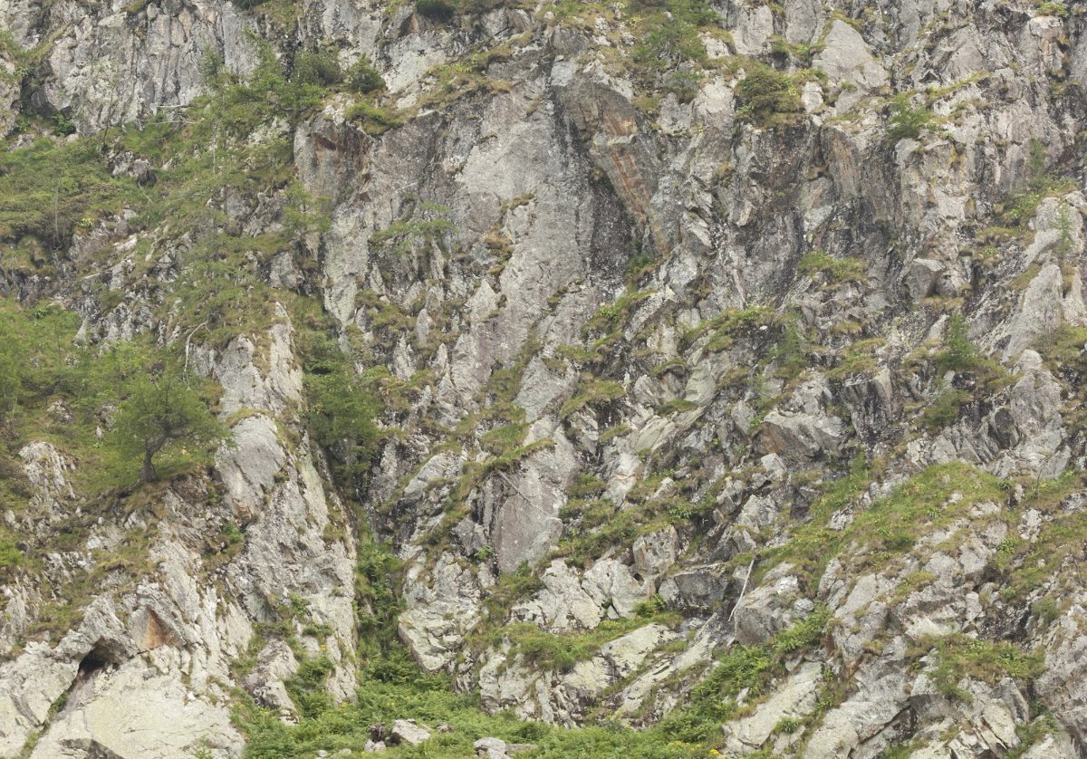 Rock and grass texture