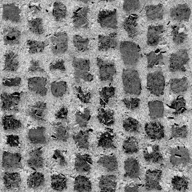 Seamless Sand Texture - Detail 2