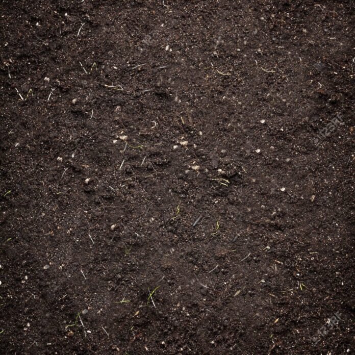 Soil texture background