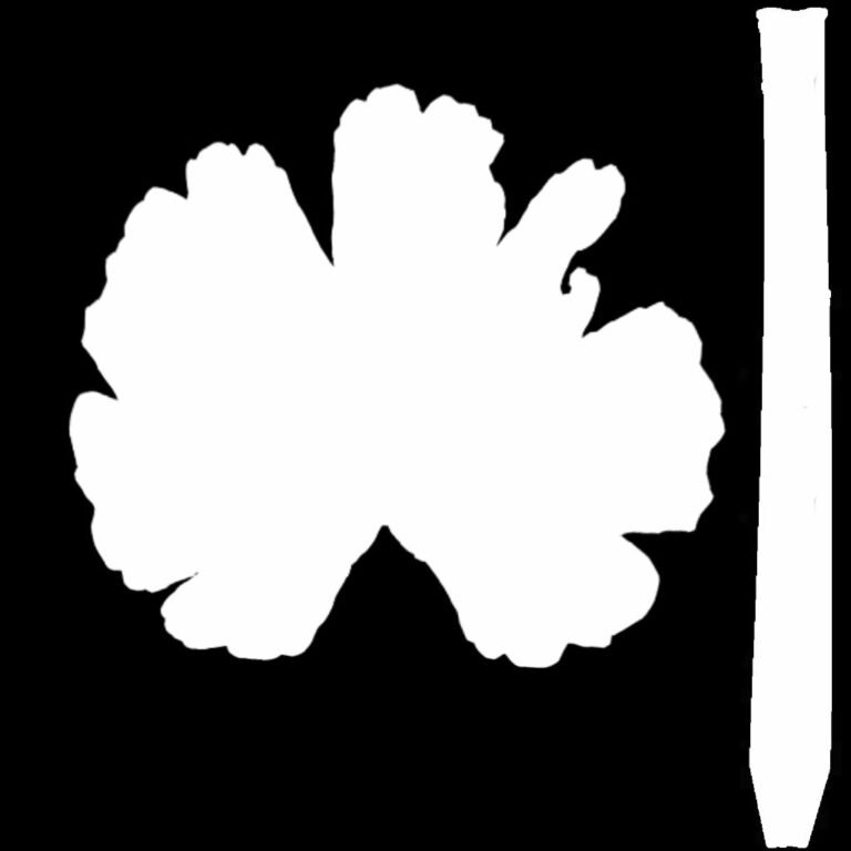 White flower mask vector