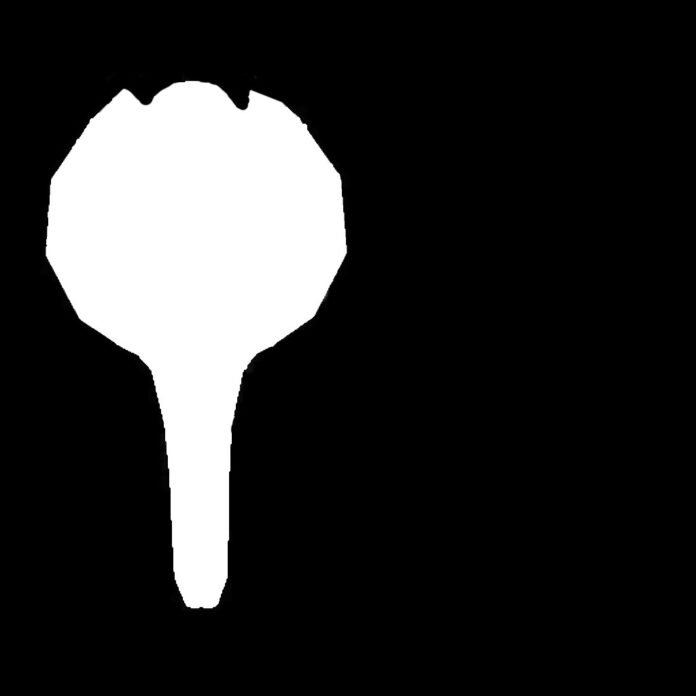 White mask graphic resource